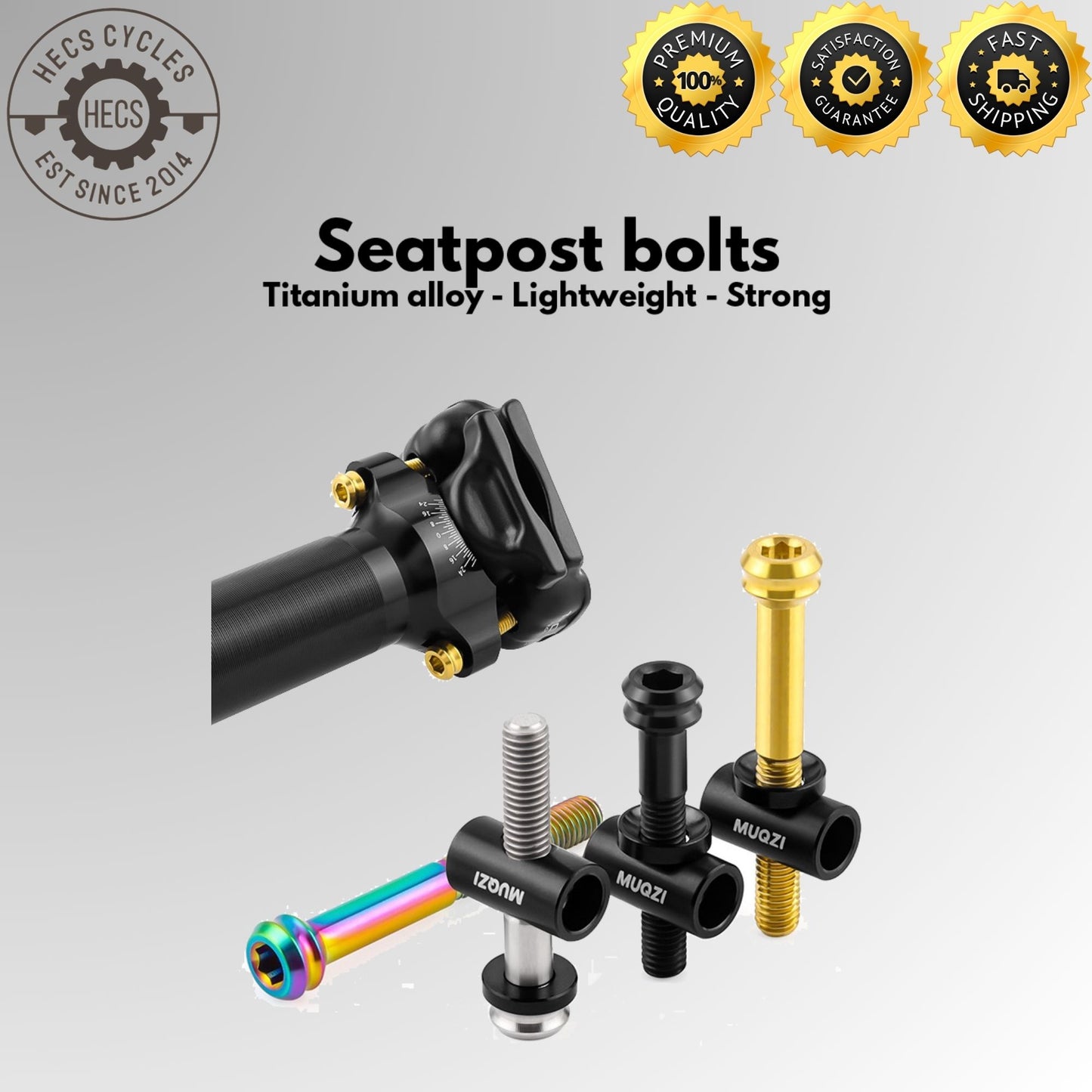 MUQZI 2Pcs Seatpost Bolts TC4 Titanium Alloy M5x30/40MM Bicycle Saddle Fixed Bolts Screws